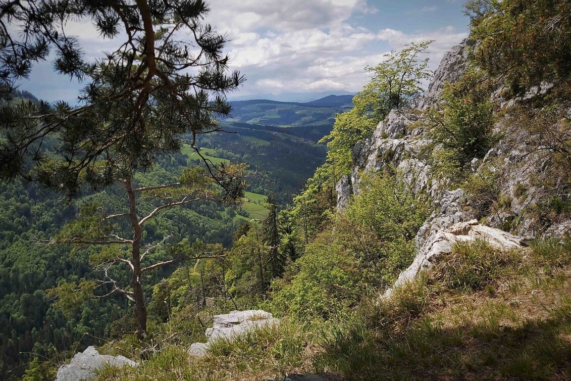 Wanderung Gösser & Sattelberge-Runde, Dürntal/Weiz - Touren-Impression #1 | © Oststeiermark Tourismus