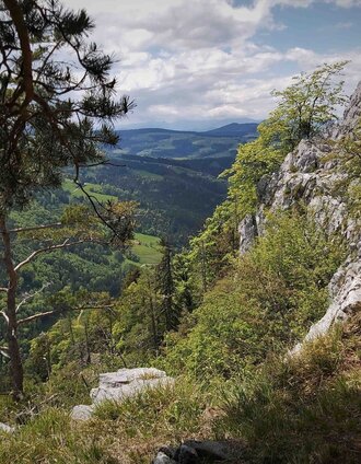 Gösser-Wall near Weiz in Eastern Styria | Christine Pollhammer | © Oststeiermark Tourismus