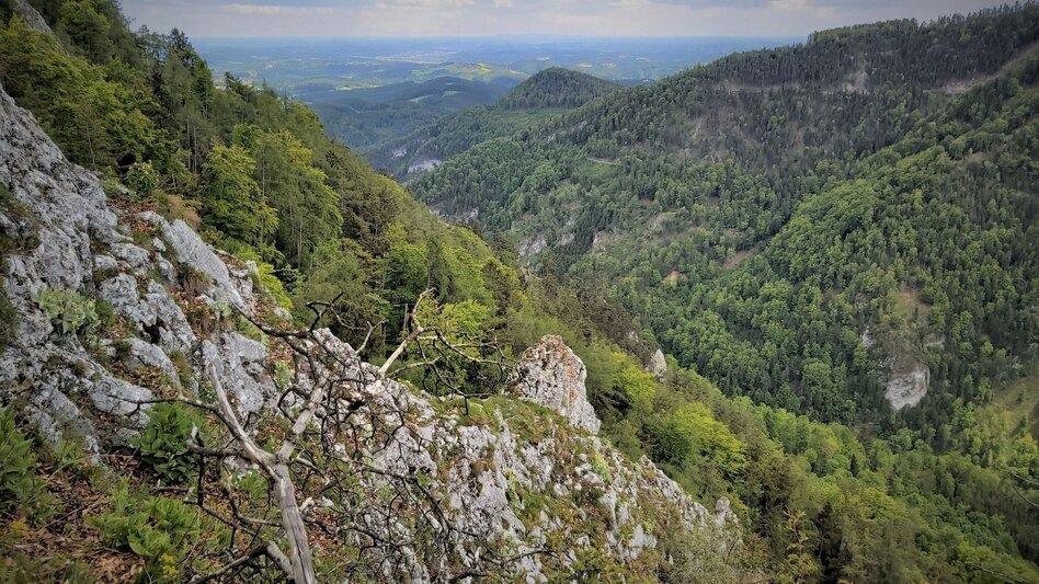 Wanderung Gösser & Sattelberge-Runde, Dürntal/Weiz - Touren-Impression #2.5 | © Oststeiermark Tourismus