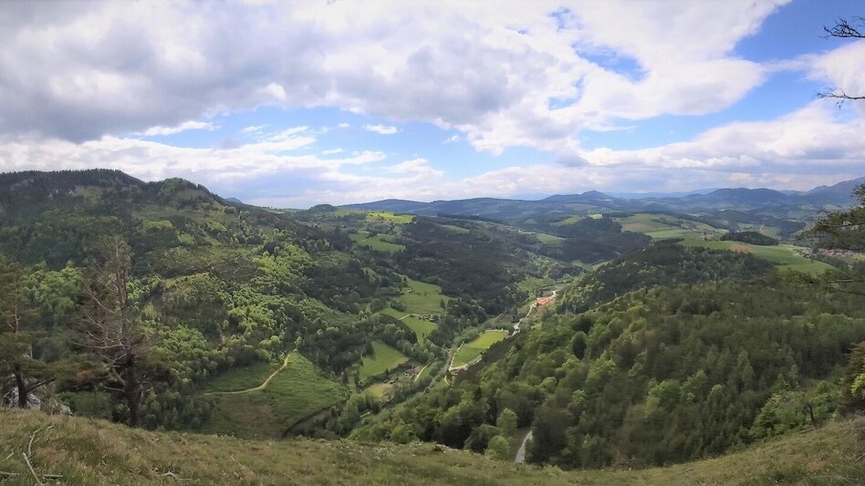 Wanderung Gösser & Sattelberge-Runde, Dürntal/Weiz - Touren-Impression #2.6 | © Oststeiermark Tourismus