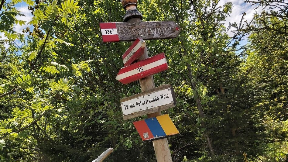 Wanderung Gösser & Sattelberge-Runde, Dürntal/Weiz - Touren-Impression #2.7 | © Oststeiermark Tourismus