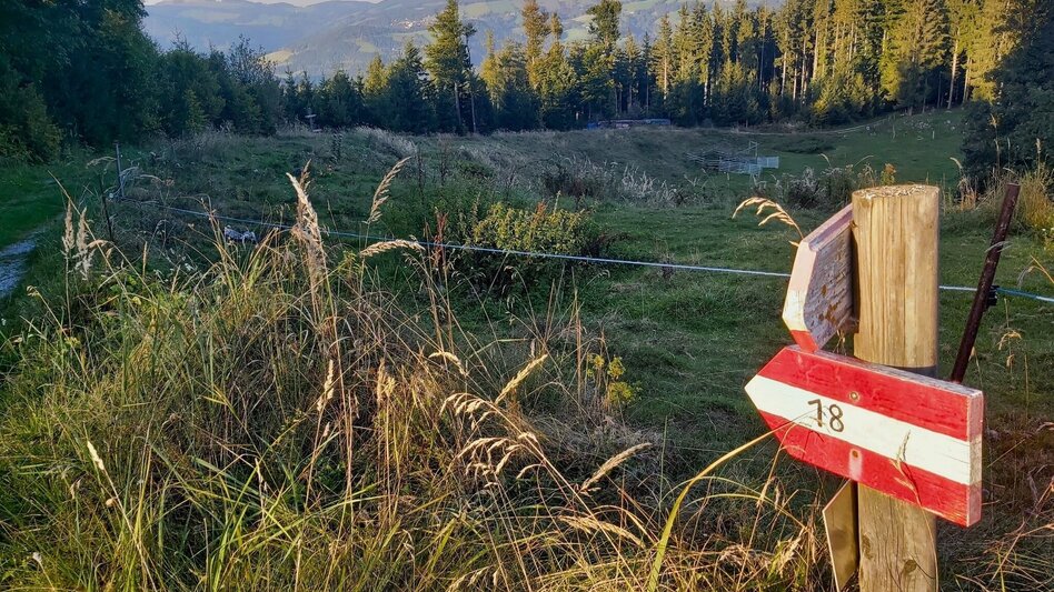 Wanderung Gösser & Sattelberge-Runde, Dürntal/Weiz - Touren-Impression #2.8 | © Oststeiermark Tourismus