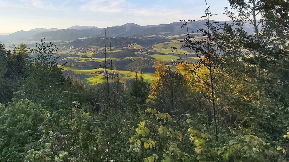 Wanderung Gösser & Sattelberge-Runde, Dürntal/Weiz - Touren-Impression #2.10 | © Oststeiermark Tourismus