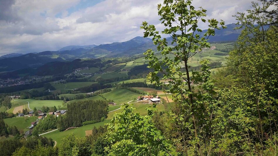 Wanderung Gösser & Sattelberge-Runde, Dürntal/Weiz - Touren-Impression #2.11 | © Oststeiermark Tourismus