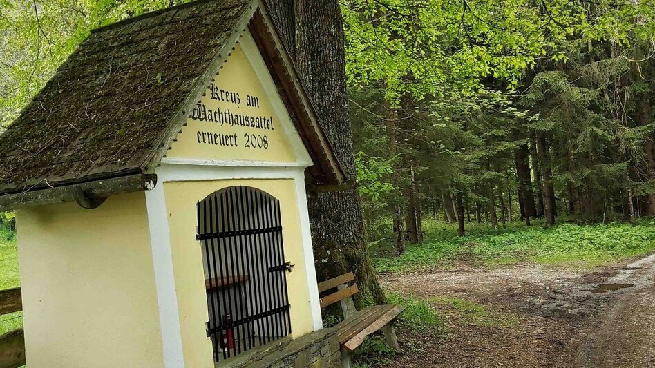 Wanderung Gösser & Sattelberge-Runde, Dürntal/Weiz - Touren-Impression #2.12 | © Oststeiermark Tourismus