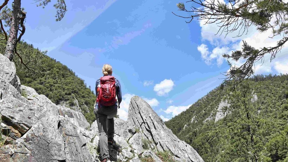 Hiking route Jägersteig & Patschaberg, Weizklamm gorge - Touren-Impression #2.1 | © TVB Oststeiermark