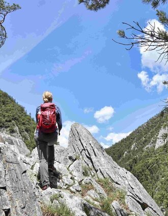 On hunter's path near Weiz in Eastern Styria | Weges | © TVB Oststeiermark