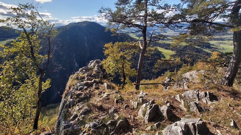 Hiking route Jägersteig & Patschaberg, Weizklamm gorge - Touren-Impression #2.5 | © Oststeiermark Tourismus