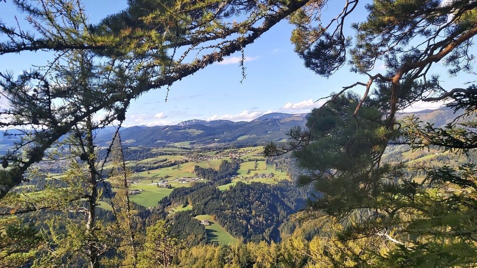 Hiking route Jägersteig & Patschaberg, Weizklamm gorge - Touren-Impression #2.6 | © Oststeiermark Tourismus