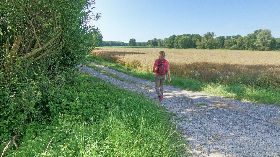 Wanderung Lafnitzau-Runde, St. Johann in der Haide - Touren-Impression #2.7 | © Weges