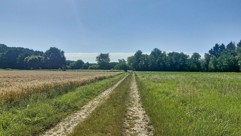 Wanderung Lafnitzau-Runde, St. Johann in der Haide - Touren-Impression #2.15 | © Weges