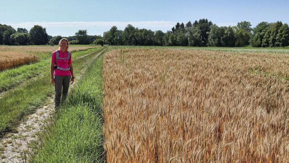 Wanderung Lafnitzau-Runde, St. Johann in der Haide - Touren-Impression #2.18 | © Weges