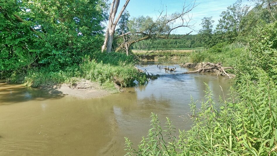Wanderung Lafnitzau-Runde, St. Johann in der Haide - Touren-Impression #2.11 | © Weges