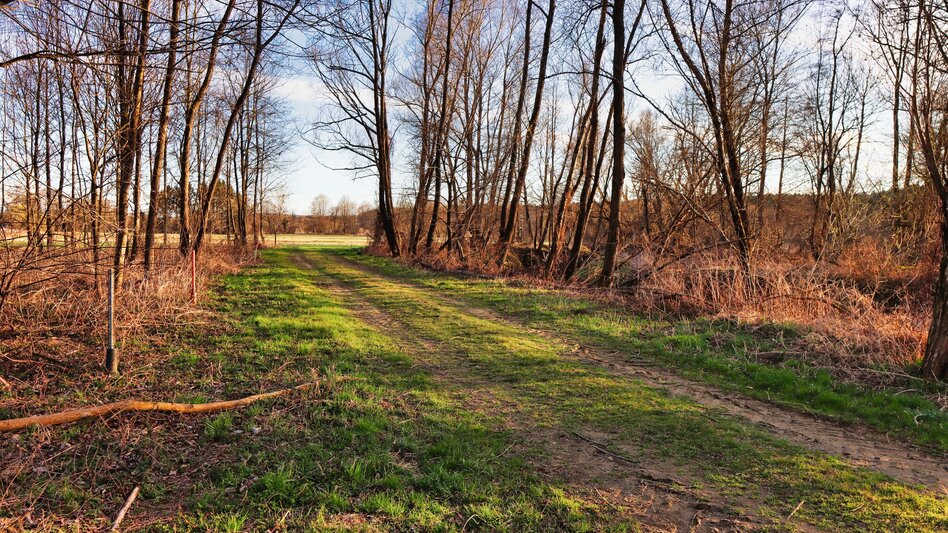 Wanderung Lafnitzau-Runde, St. Johann in der Haide - Touren-Impression #2.2 | © Weges