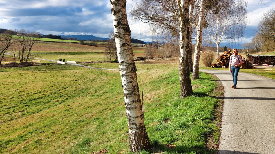 Wanderung Lafnitzau-Runde, St. Johann in der Haide - Touren-Impression #2.3 | © Weges