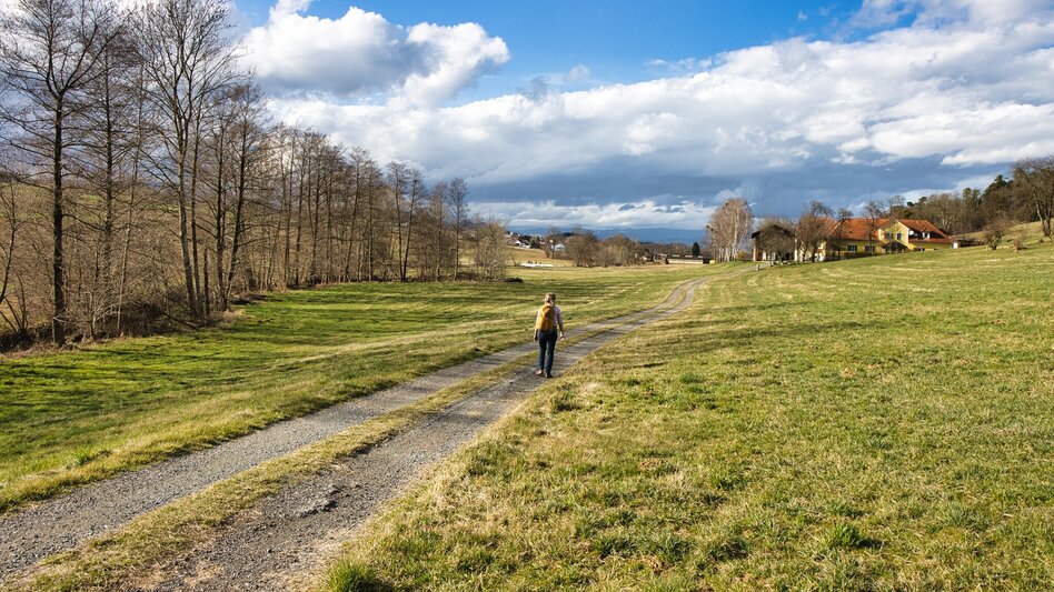 Wanderung Lafnitzau-Runde, St. Johann in der Haide - Touren-Impression #2.4 | © Weges