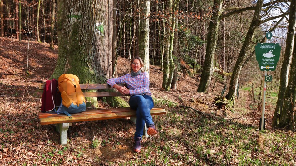Wanderung Lafnitzau-Runde, St. Johann in der Haide - Touren-Impression #2.5 | © Weges