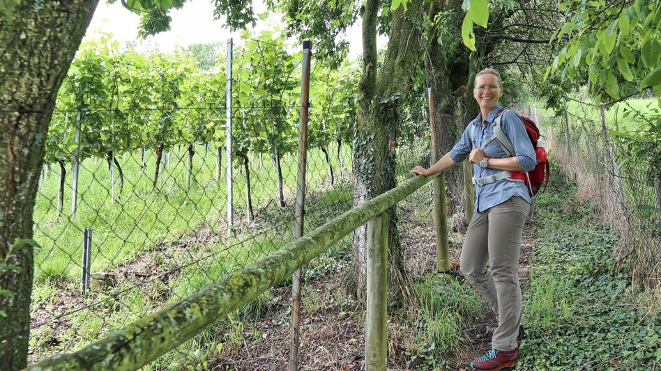 Wanderung Waldseppl-Runde, Penzendorf - Touren-Impression #2.3 | © Weges