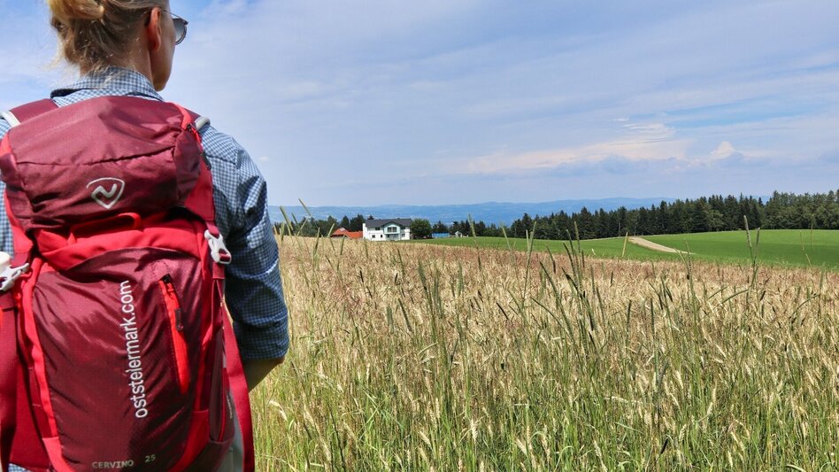 Wanderung Waldseppl-Runde, Penzendorf - Touren-Impression #2.5 | © Weges