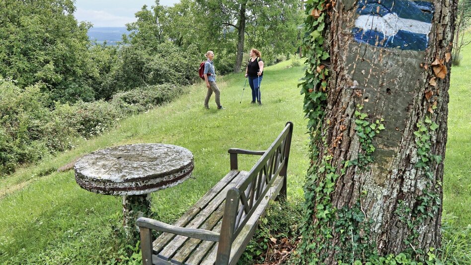 Wanderung Waldseppl-Runde, Penzendorf - Touren-Impression #2.6 | © Weges