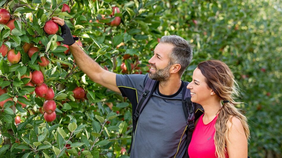 Bike Riding Apple blossom tour (Apfelblütentour) - Touren-Impression #2.3 | © Markt Hartmannsdorf