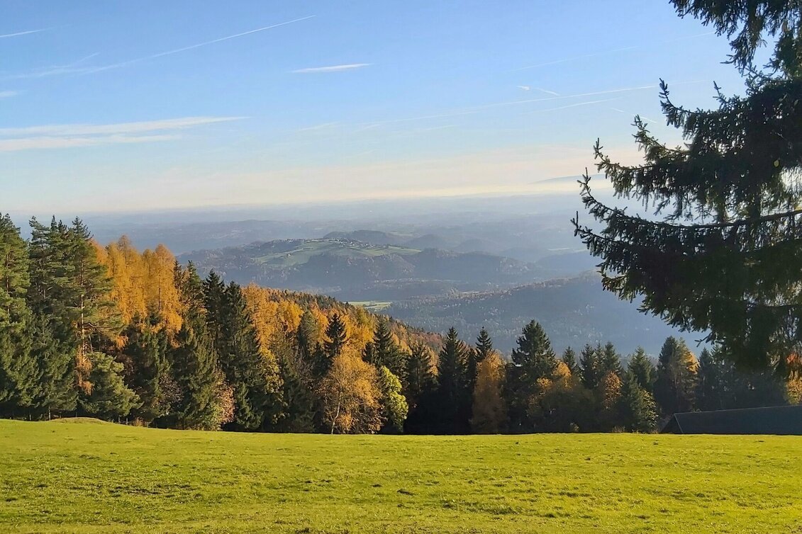 Wanderung Stross-Runde, Gschaid/Weiz - Touren-Impression #1 | © Oststeiermark Tourismus