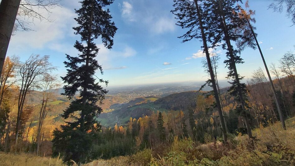 Wanderung Stross-Runde, Gschaid/Weiz - Touren-Impression #2.4 | © Oststeiermark Tourismus