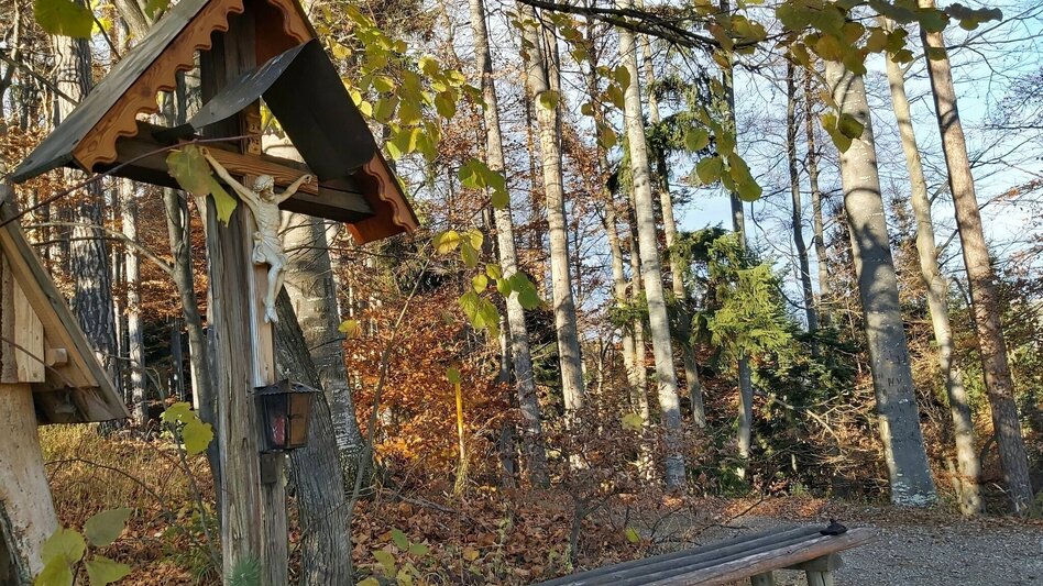 Wanderung Stross-Runde, Gschaid/Weiz - Touren-Impression #2.6 | © Oststeiermark Tourismus