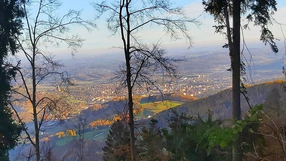 Wanderung Stross-Runde, Gschaid/Weiz - Touren-Impression #2.8 | © Oststeiermark Tourismus