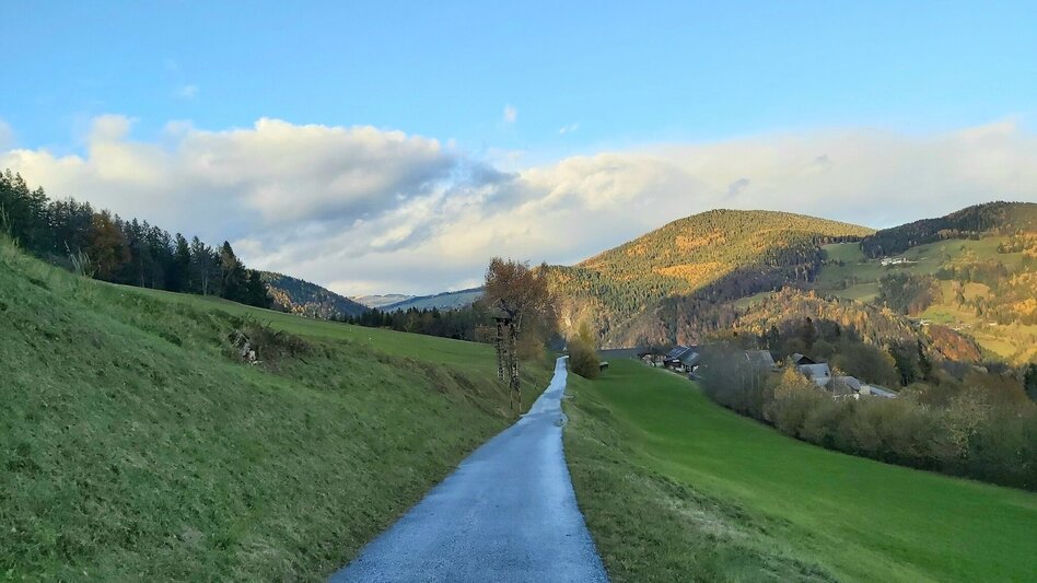 Wanderung Stross-Runde, Gschaid/Weiz - Touren-Impression #2.10 | © Oststeiermark Tourismus