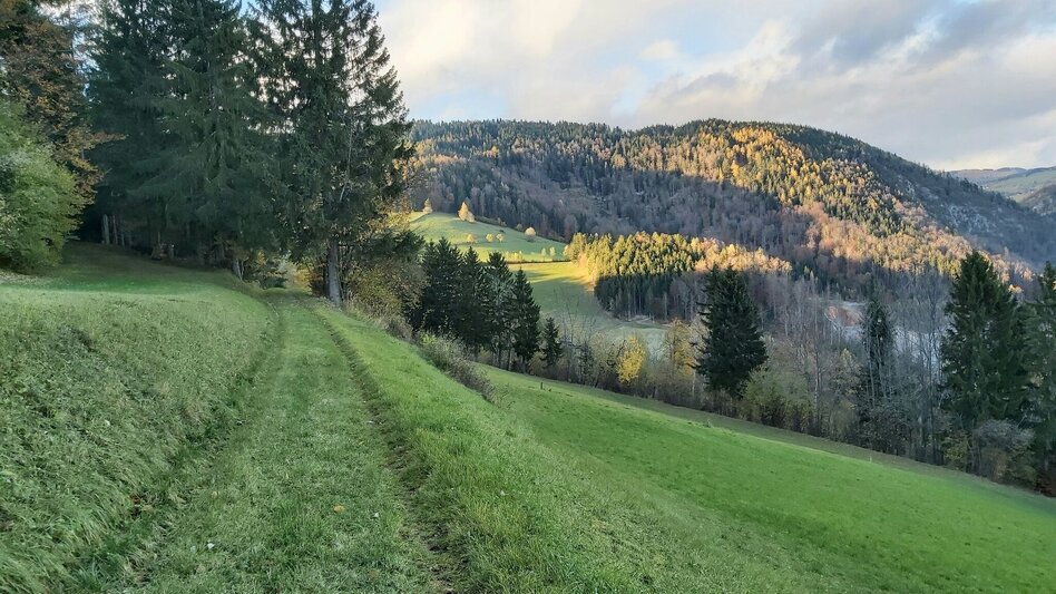 Wanderung Stross-Runde, Gschaid/Weiz - Touren-Impression #2.11 | © Oststeiermark Tourismus