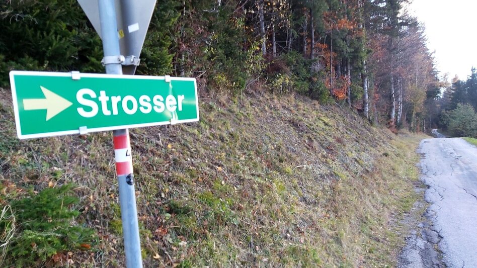 Wanderung Stross-Runde, Gschaid/Weiz - Touren-Impression #2.13 | © Oststeiermark Tourismus