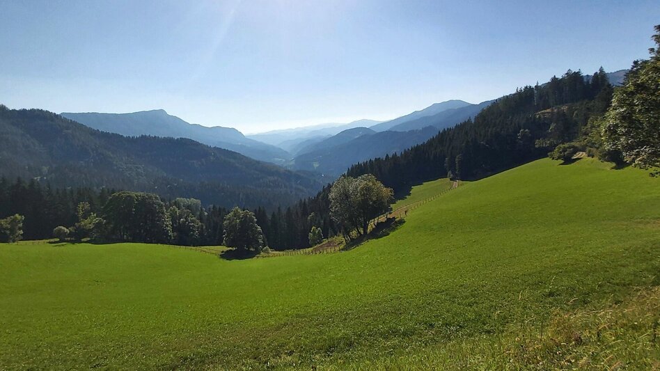 Hiking route Hofbauer Alm-Round, Breitenau am Hochlantsch - Touren-Impression #2.7 | © Oststeiermark Tourismus