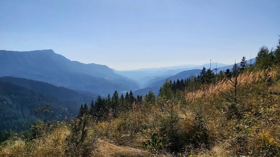 Hiking route Hofbauer Alm-Round, Breitenau am Hochlantsch - Touren-Impression #2.8 | © Oststeiermark Tourismus