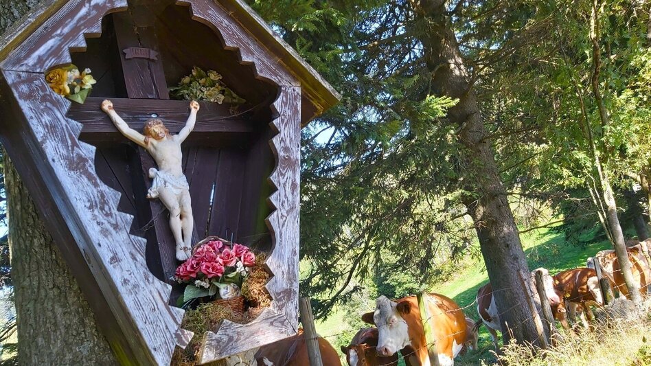 Hiking route Hofbauer Alm-Round, Breitenau am Hochlantsch - Touren-Impression #2.11 | © Oststeiermark Tourismus