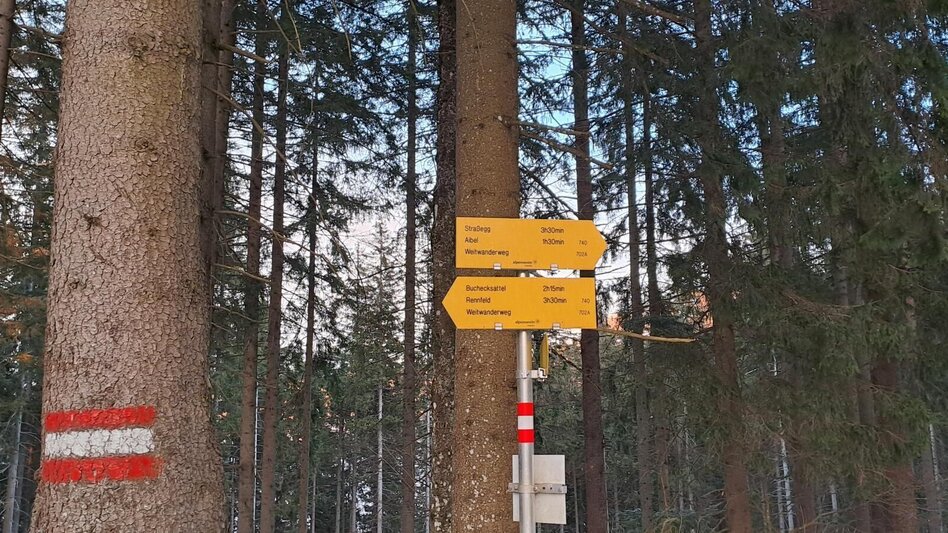 Hiking route Hofbauer Alm-Round, Breitenau am Hochlantsch - Touren-Impression #2.12 | © Oststeiermark Tourismus