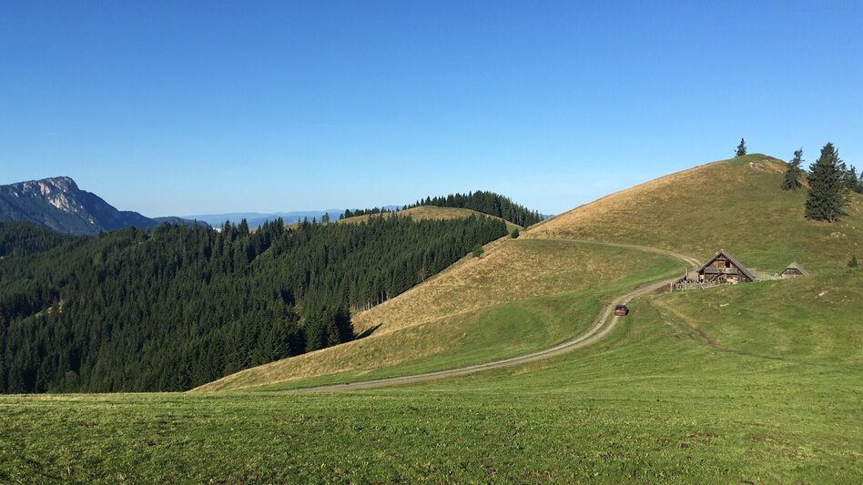 Hiking route Hofbauer Alm-Round, Breitenau am Hochlantsch - Touren-Impression #2.14 | © Oststeiermark Tourismus