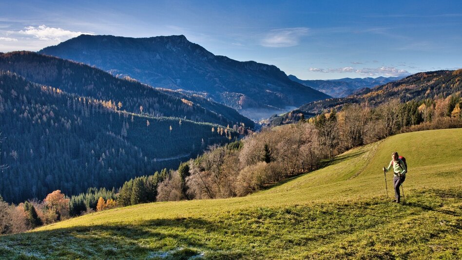 Hiking route Hofbauer Alm-Round, Breitenau am Hochlantsch - Touren-Impression #2.2 | © Oststeiermark Tourismus