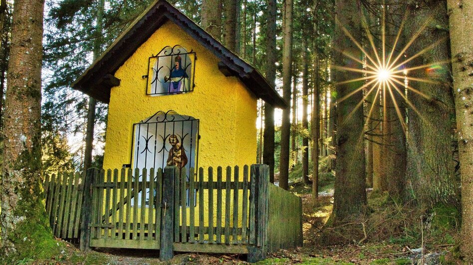 Hiking route Hofbauer Alm-Round, Breitenau am Hochlantsch - Touren-Impression #2.3 | © Oststeiermark Tourismus