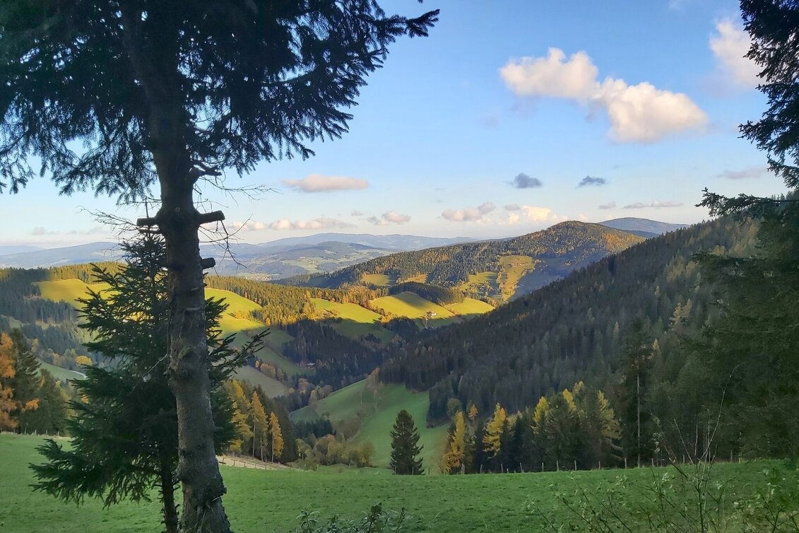 Hiking route Haberlstall-Round, Gasen - Touren-Impression #1 | © Oststeiermark Tourismus