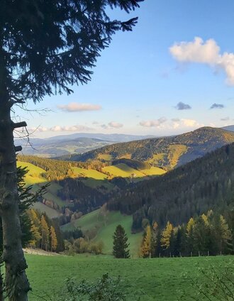 Aussicht von der Haberlstall Alm | Christine Pollhammer | © Oststeiermark Tourismus