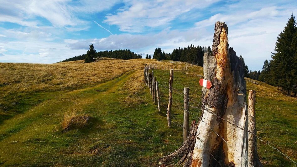 Hiking route Haberlstall-Round, Gasen - Touren-Impression #2.5 | © Oststeiermark Tourismus