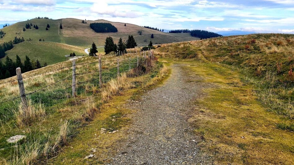 Hiking route Haberlstall-Round, Gasen - Touren-Impression #2.8 | © Oststeiermark Tourismus