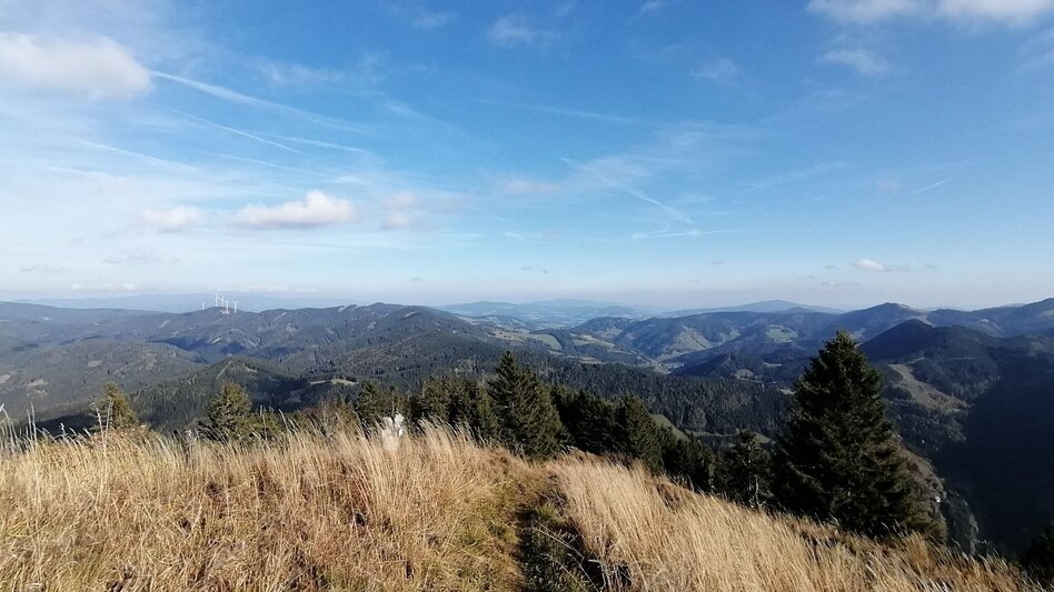 Hiking route Hochschlag, Straßegg - Touren-Impression #2.2 | © Oststeiermark Tourismus