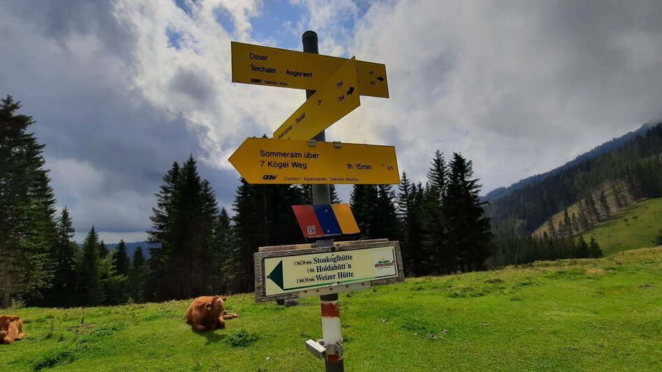 Hiking route Alm-Runde über Raabursprung, Passail - Touren-Impression #2.6 | © Oststeiermark Tourismus