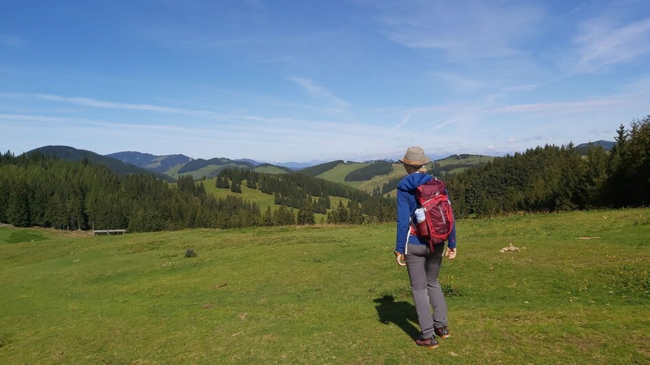 Hiking route Alm-Runde über Raabursprung, Passail - Touren-Impression #2.9 | © Oststeiermark Tourismus