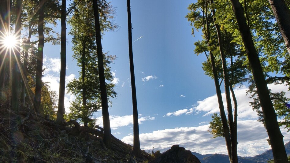 Wanderung Rote Wand-Runde über Bucheben, Mixnitz - Touren-Impression #2.1 | © Oststeiermark Tourismus