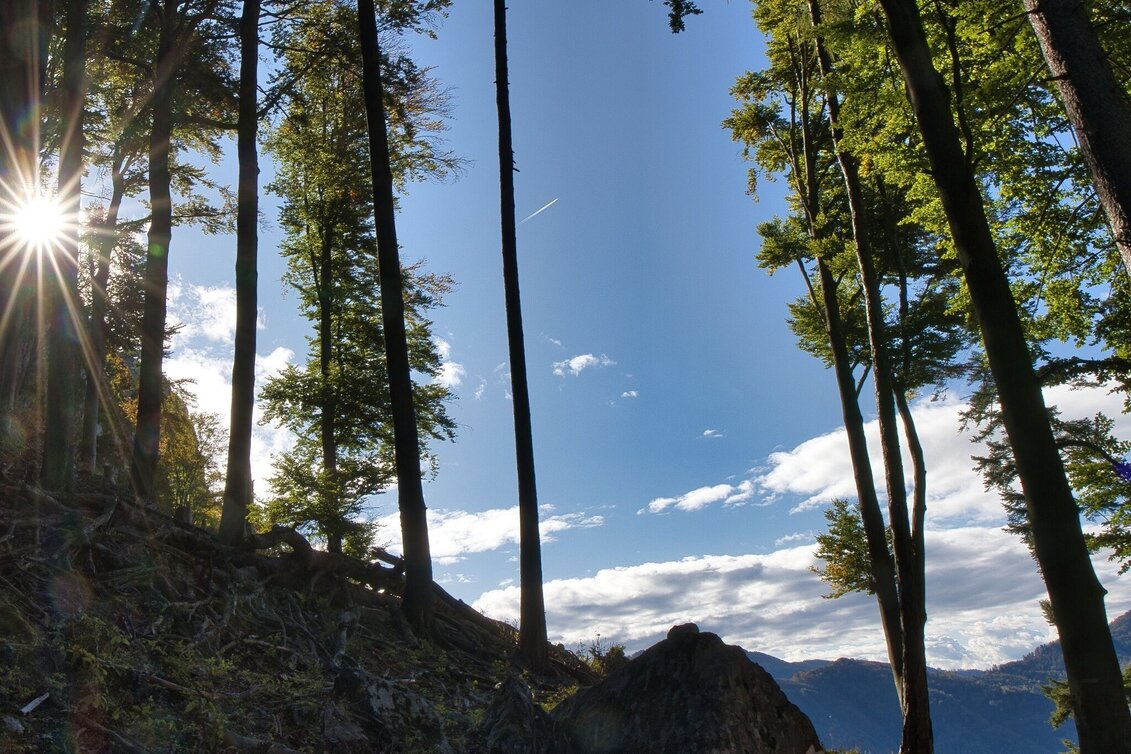 Wanderung Rote Wand-Runde über Bucheben, Mixnitz - Touren-Impression #1 | © Oststeiermark Tourismus