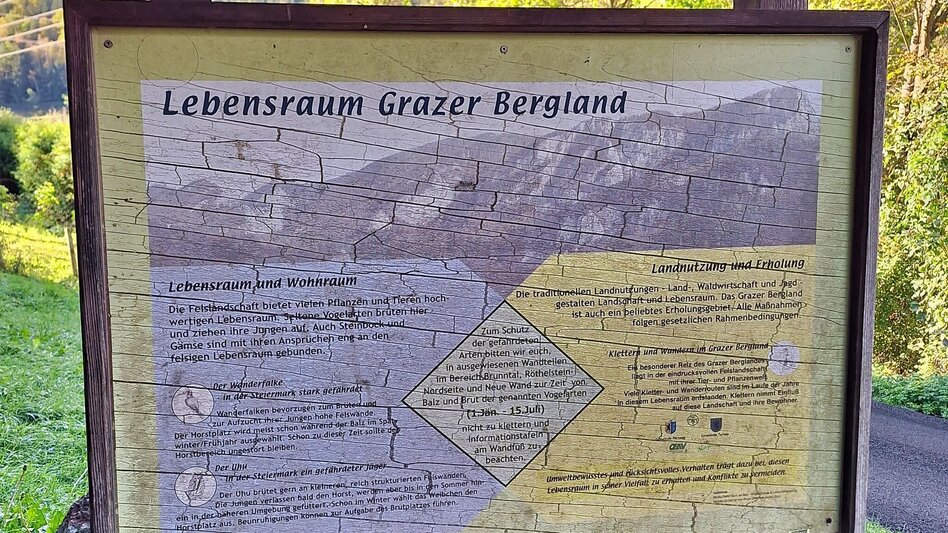 Hiking route Dragon´s Den, Mixnitz - Touren-Impression #2.7 | © Oststeiermark Tourismus