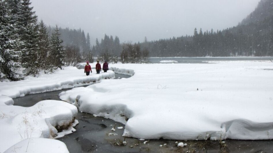 Winterwandern Winterwanderung um den Ingeringsee - Touren-Impression #2.5 | © Erlebnisregion Murtal
